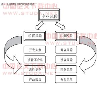 会计国际化论文 国际会计论文：对我国会计国际化的认识和思考