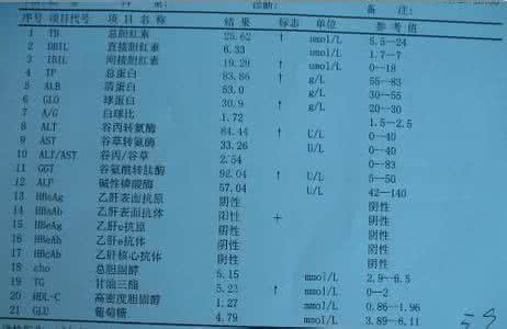 转氨酶高能做羊串吗 转氨酶高怎么办 这么做有效缓解转氨酶高