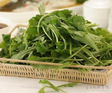 野菜怎么做好吃 春季好吃又健康的10种野菜