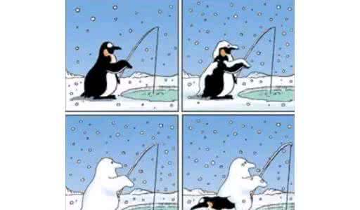 一些细思极恐的冷知识 关于钓鱼的一些冷知识！