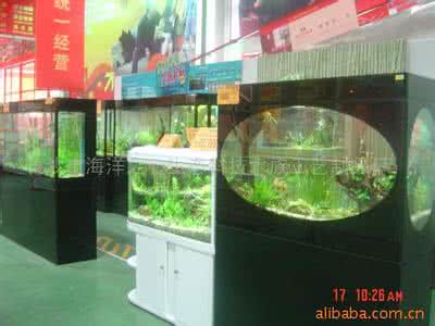 店铺鱼缸的摆放位置 鱼缸摆在商店铺什么位置招财！！！