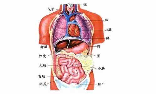 酥皮点心 就是要这么详细地告诉你酥皮点心的秘密