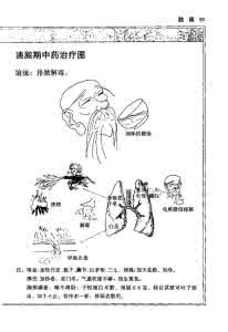 中医内科病诊疗图解 中医内科病诊疗图解【扫描版】上