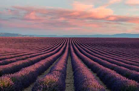 全球十大蜜月旅游胜地 普罗旺斯 蜜月的胜地(组图)