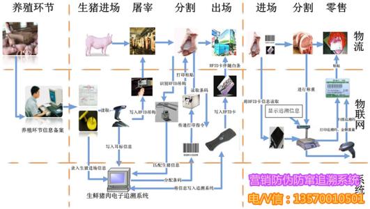 食品追溯系统my399 惠州推广4类食品追溯系统