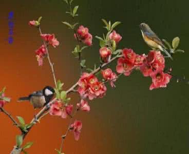 立春诗词 春天,你好!立春诗词15首