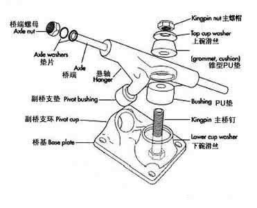 滑板的构造 滑板的构造是怎样的
