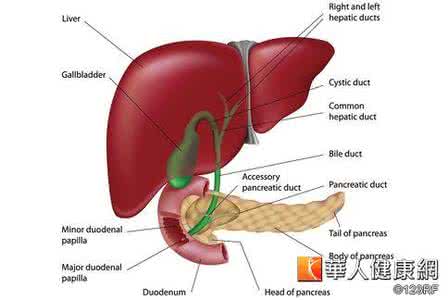 贲门癌术后并发症 肝硬化最常见的并发症 贲门癌术后常见并发症及处理办法