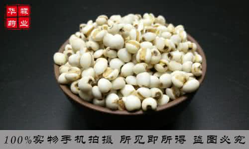 薏米和薏仁的区别 薏米和薏仁的区别 薏米和薏仁有什么区别