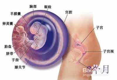 怀孕初期胎停育症状 怀孕初期为什么会忘事 怀孕初期的一些症状