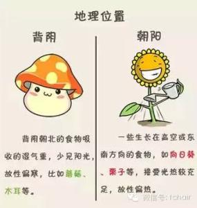 食物寒热属性表 食物寒性？热性？教你一分钟辨别~