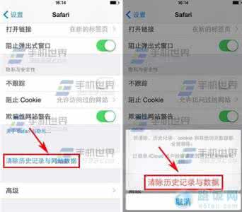 清除历史记录快捷键 iPhone6清除Safari历史记录方法