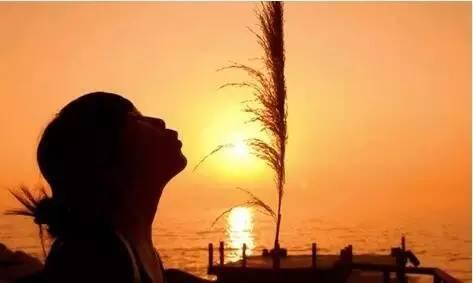 一天一年一生写得真好 一天,一年,一生