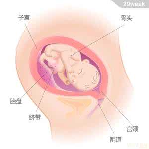 保证胎儿发育 拒绝不良习惯