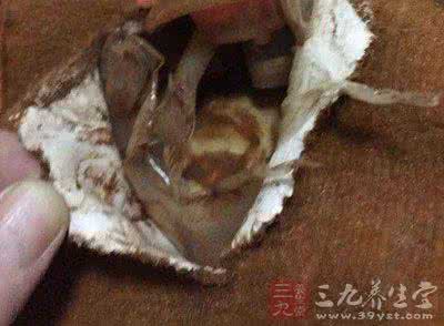 男人女人被窝里的秘密 女人多年不孕竟是被窝里有它