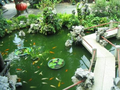 生活本来就该多姿多彩 庭院悠悠，让生活多姿多彩