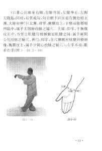 养生太极掌第一套口令 养生太极掌第一套 养生太极掌作用