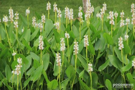 生命不是用来比较 生命不是用来比较，而是用来完成