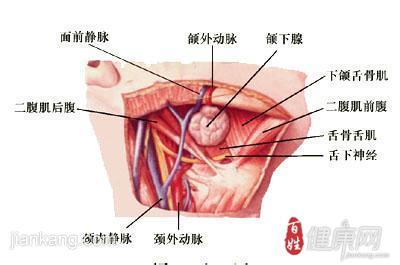 口腔肿瘤症状 口腔肿瘤症状 口腔肿瘤症状全面知