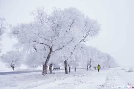 大雪养生 大雪养生 大雪养生重视两点