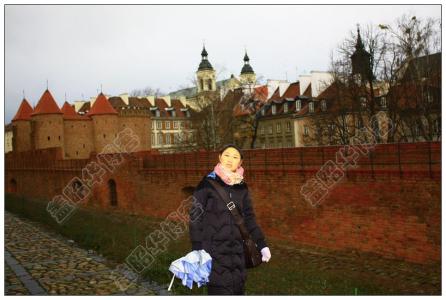 东欧前社会主义国家 东欧前社会主义国家如今是啥样