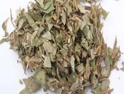 中药抗生素 中药养生 生活中常见的中药“抗生素”