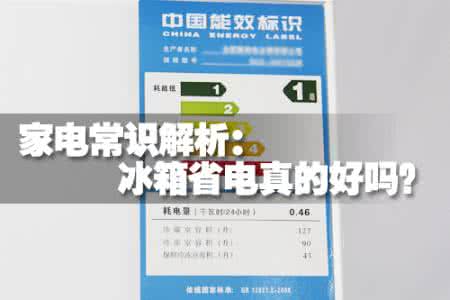 家电省电 家电常识解析：冰箱省电是否就是好？