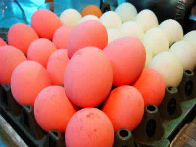 土鸡蛋蛋黄 染色蛋冒充土鸡蛋价格翻7倍 高价买不来高营养
