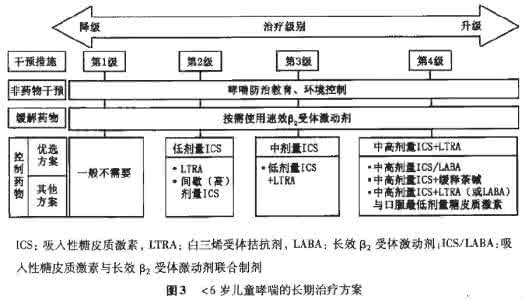 支气管哮喘防治指南 儿童支气管哮喘诊断与防治指南(2016年版)