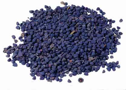 炒牵牛子 炒牵牛子治消化不良
