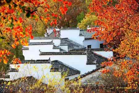 最美秋色 11月国内最美秋色，在对的时间去对的地方