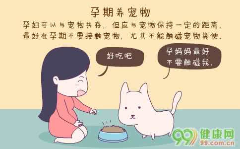 至q宠物屋 孕妇不宜去的地方 宠物屋不宜安置的地方