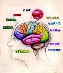 杀伤力最大的腿法 沉默更有杀伤力 肿瘤发生早期杀伤性T细胞就已被永久沉默