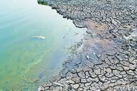 生物污染是环境污染吗 生物污染