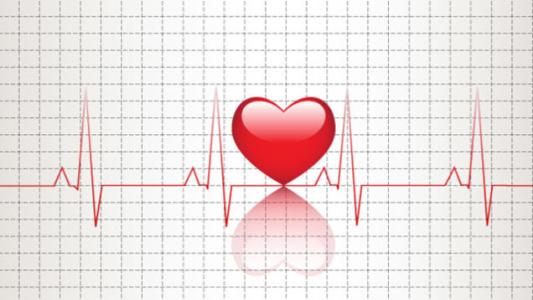 身高越高寿命越短 心跳越快寿命越短 心跳越快寿命越短?最健康的心跳什么样?
