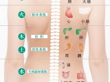 背上长痘痘的原因 背上长痘痘的原因 背部长痘对应五脏六腑