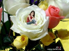 祝晨曦 晨曦用玫瑰花祝老师*山的女儿999*馆庆三周年~~~