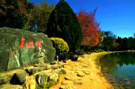 最美的风景 爱情两三则:最美的风景