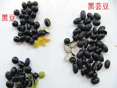黑芸豆和黑豆哪个好 揭秘：黑豆与黑芸豆的区别