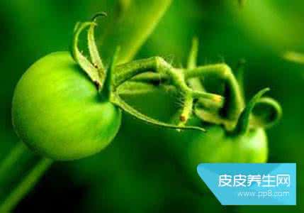 最适宜生吃的蔬菜 哪些蔬菜适宜发芽了吃？
