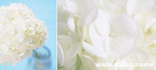 梦见吃馄饨 梦见馄饨 梦见吃馄饨