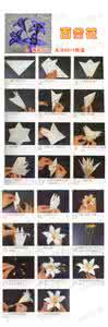 50种纸花折法简单图片 各种纸花的折法