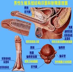 多射精的好处与坏处 男性过多的射精好处多还是坏处多