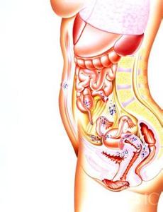 脑梗塞最佳治疗药物 药物与性：女性阴道里塞药经注意什么呢?