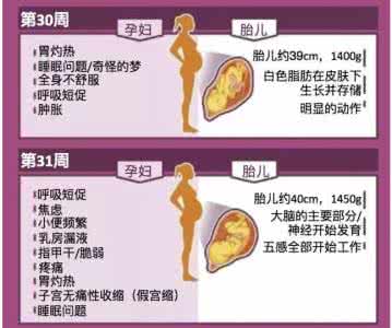 孕期各阶段胎儿变化 图解：孕期孕妇及胎儿每周变化