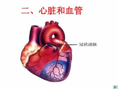 心脏血液循环 心脏血液循环 心脏血液回流是怎么样进行的