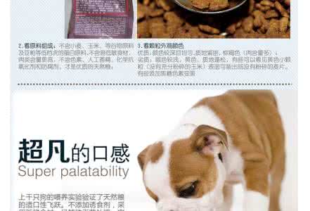 狗狗多大吃成犬粮 如何科学的为狗狗配制犬粮