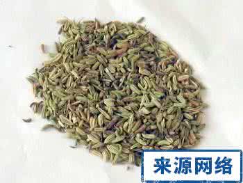 猪肚小茴香治胃病偏方 茴香能治9种病