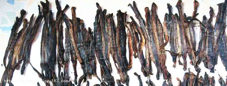 地龙粉治痔疮吃一星期 地龙粉治痔疮 你认为地龙能治痔疮吗