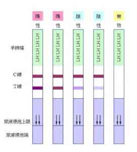 排卵试纸双杠代表怀孕 月经前排卵试纸测试双杠是怀孕吗